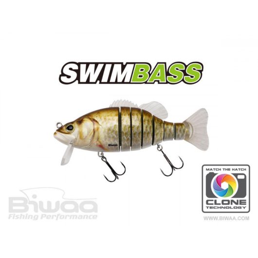 SWIMBASS 6" SLOW SINK 15cm 65gr 12 Carassin