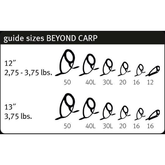 BEYOND CARP 12FT 3.66M 3.00lbs Fuji Titanium K