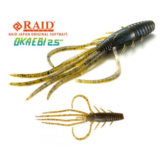 RAID OKA EBI 2.5" 6.3cm 001 Green Pumpkin Seed