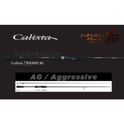 CALISTA 79MMH/AG 2.38m 35gr Fuji Titanium Torzite