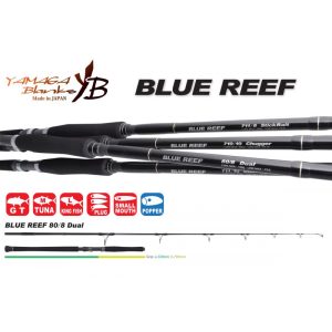 BLUE REEF GT 80/8 DUAL 2.495m Max 160gr