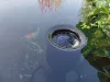 Oase AquaSkim 40 felületszívó
