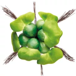 Pontec PondoHyacinth