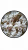 Bacteria Home 10kg- Baktériumok Otthona