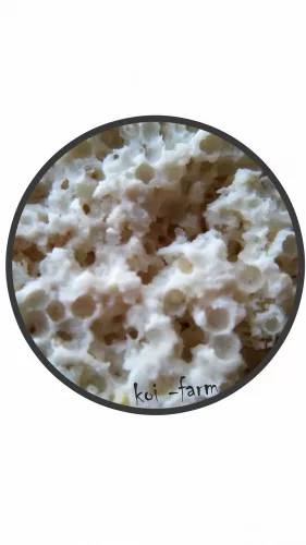 Bacteria Home 10kg- Baktériumok Otthona