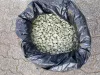 Tó Zeolit 6–20 mm 5 kg – természetes tavi szubsztrátum