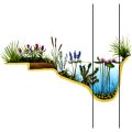 Mély zóna vízinövényei 60-150 cm
