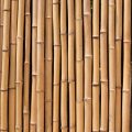 Bambusz térelválasztó